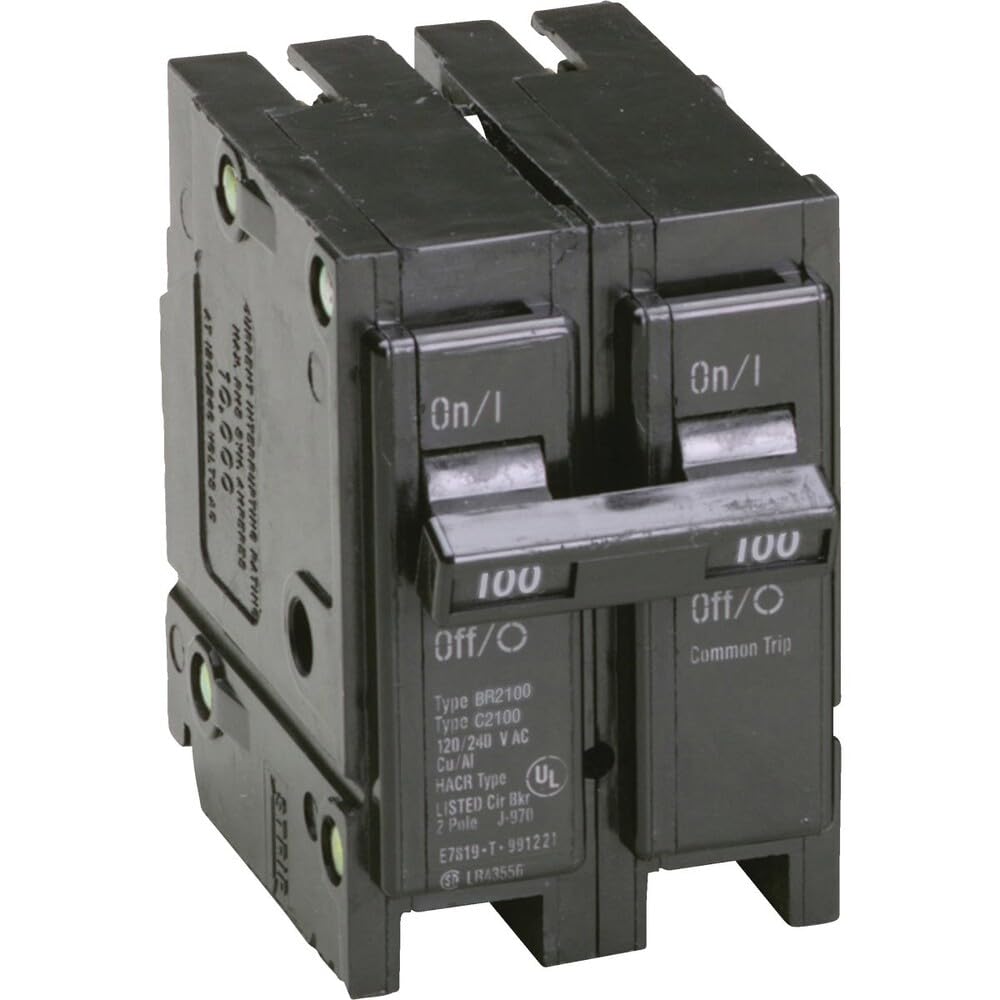 Eaton BR 100A Double-Pole Standard Trip Circuit Breaker - 1 Each