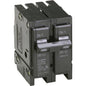 Eaton BR 100A Double-Pole Standard Trip Circuit Breaker - 1 Each